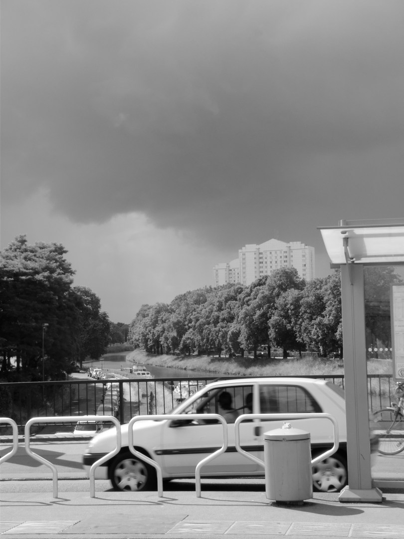 Terwijl donkere wolken bendevorming plegen, blijft de zon het landschap met haar gulden gloed overgieten.