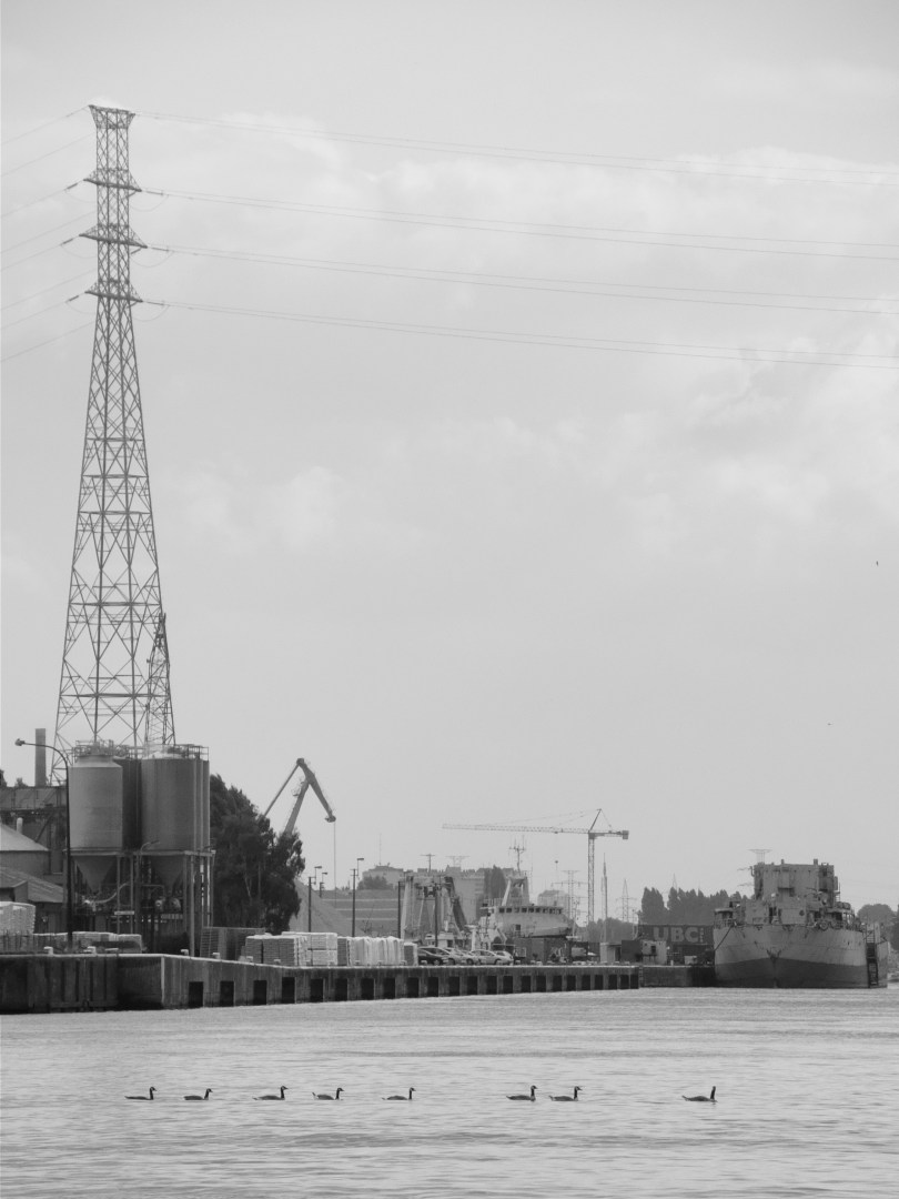 Zuur water Vroeger heeft een paster mij wijsgemaakt dat het water van het Kanaal Gent-Terneuzen zo vervuild is dat men heeltegans zou oplossen mocht men erin vallen. Waarom verdampt die kudde eenden dan niet? Kortom: pasters zijn slechte mensen.
