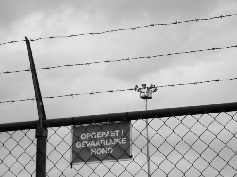 Gevaarlijke hond Als er op de Hondaparking dan toch gevaarlijke honden zitten, waarmee zou een goedmenende burger dan geen foto's mogen nemen van plakkaatjes die inbrekers waarschuwen voor gevaarlijke honden?